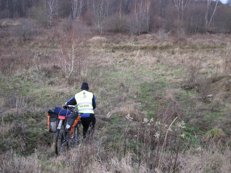 Орг нашёл дорогу