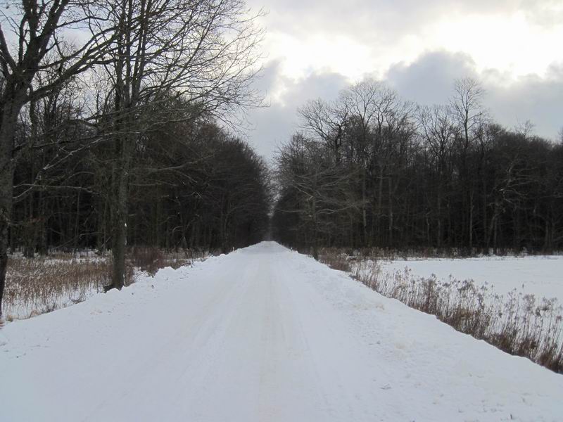 Въезд в лес Головенский