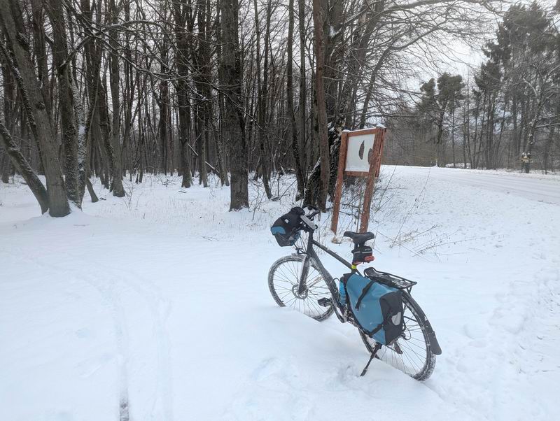 Первая остановка в лесу Головенском