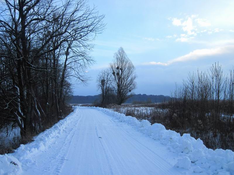 Зимняя дорога