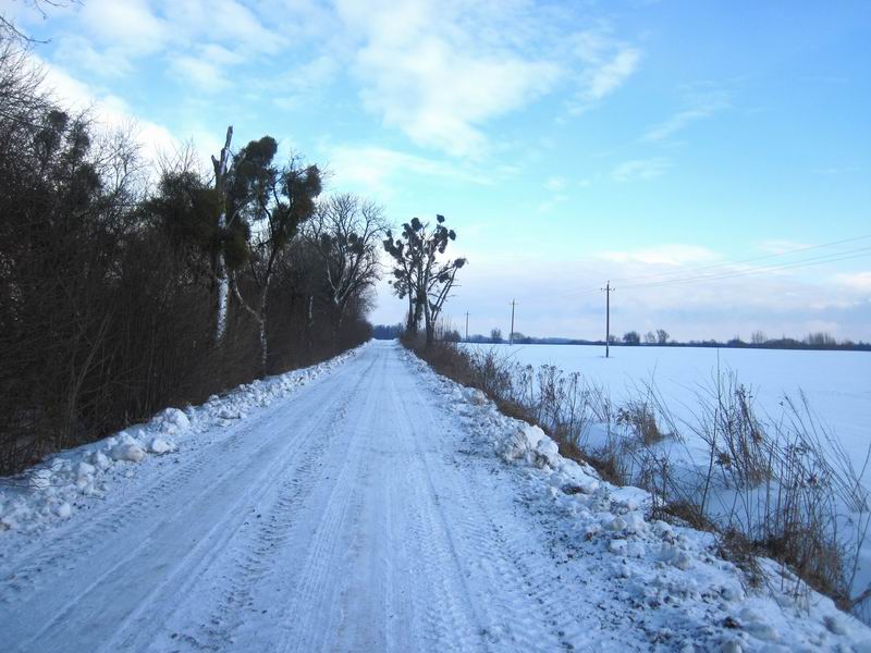 Дорога в Зелёное