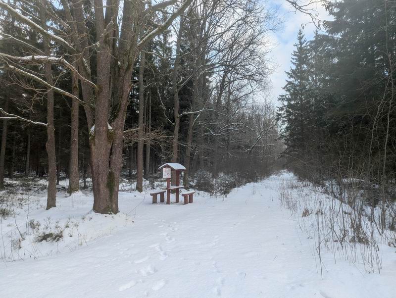 Стол с лавочками