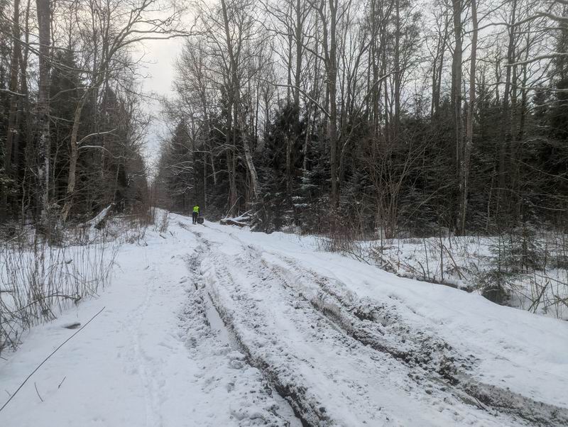 Сергей Мезенов пешеходит