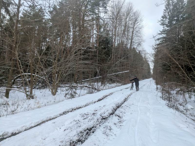 Андрей Вендин пешеходит