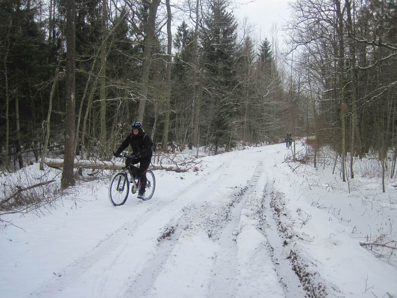 Гуаномес можно объезжать