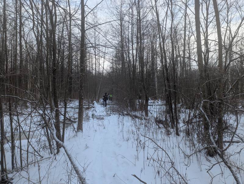 Пробираемся по насыпи через болото, т.к. лёд ещё тонкий