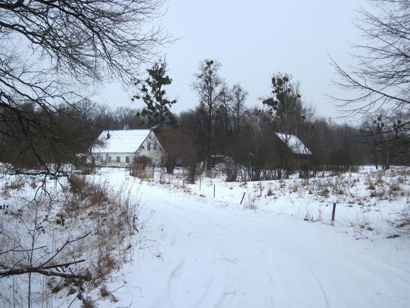 Проезжаем лесничество