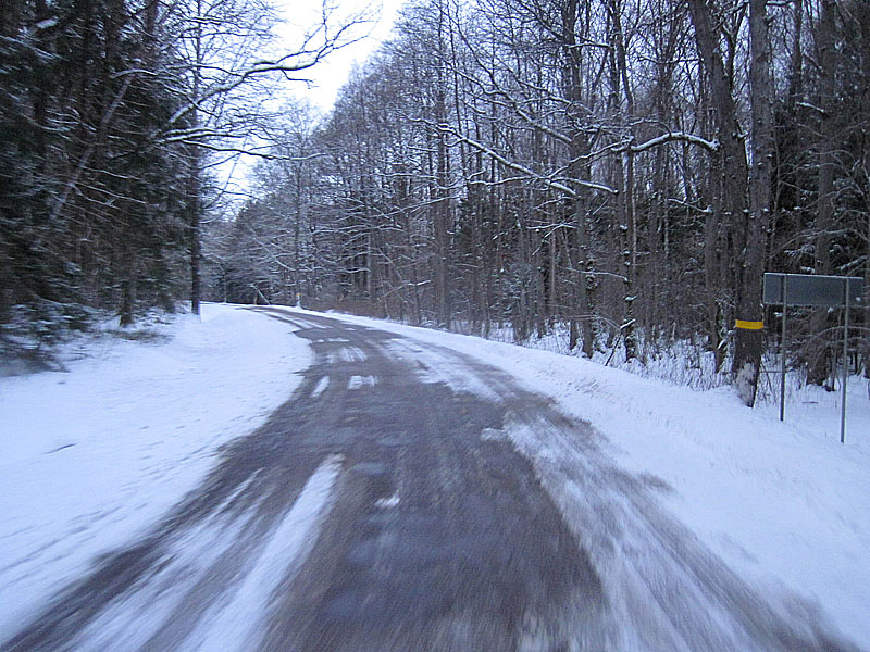 Дорога через лес