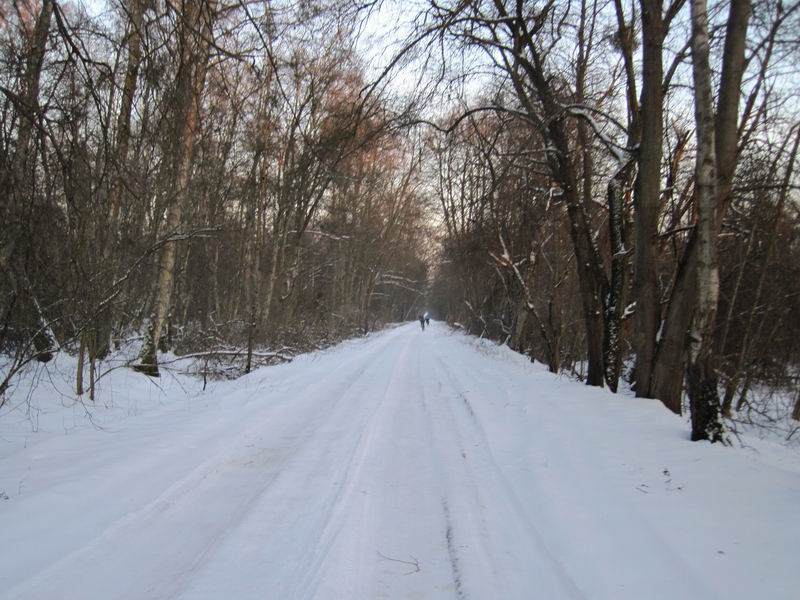 Дорога на Бальгу