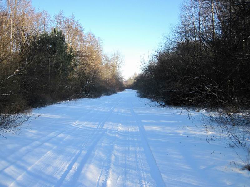 Едем по заброшенной рулёжке.