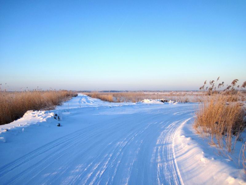 Ледяная Голландия