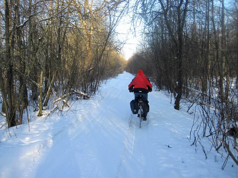 Свернули в лес на дорогу к посёлку-призраку Лое