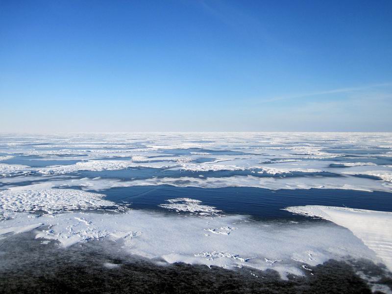 Появилось много участков голого льда