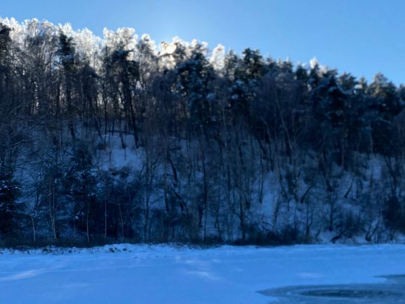 Вид на бор с залива