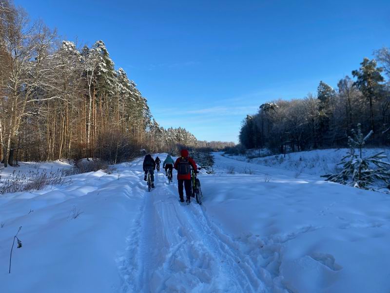 Едем-катимся