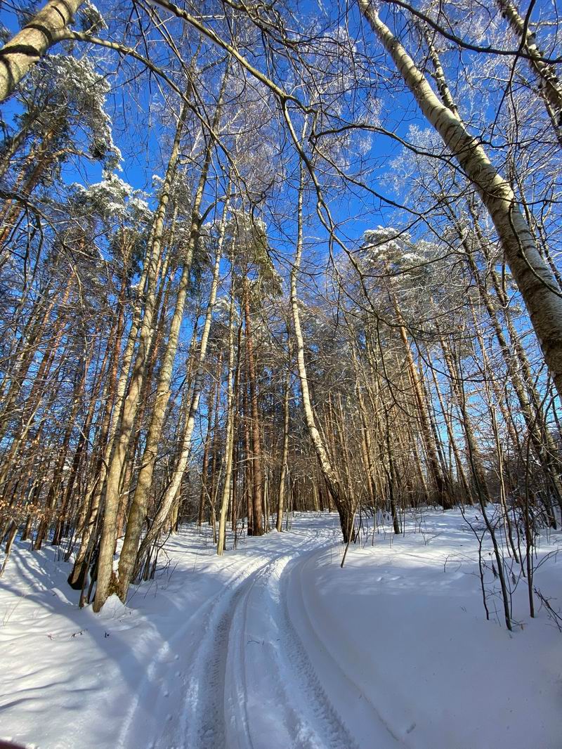 Поехали в буковую рощу