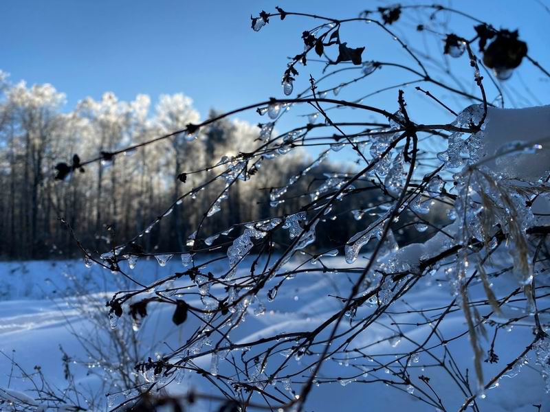 Можно помедитировать