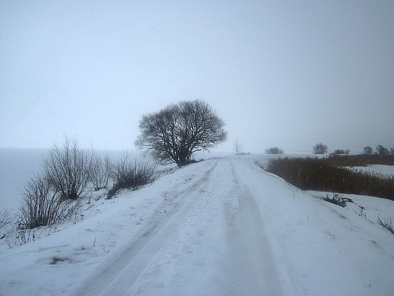 Дорога по дамбе залива