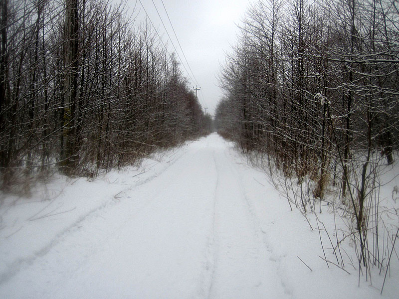 Дорога в Тарасовку