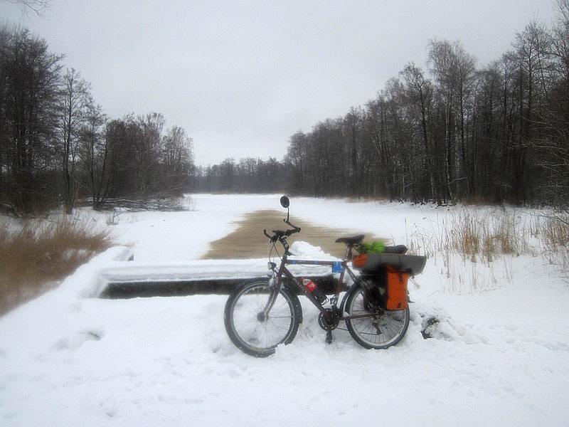 Велосипед Сергея Мезенова на фоне Тимбера