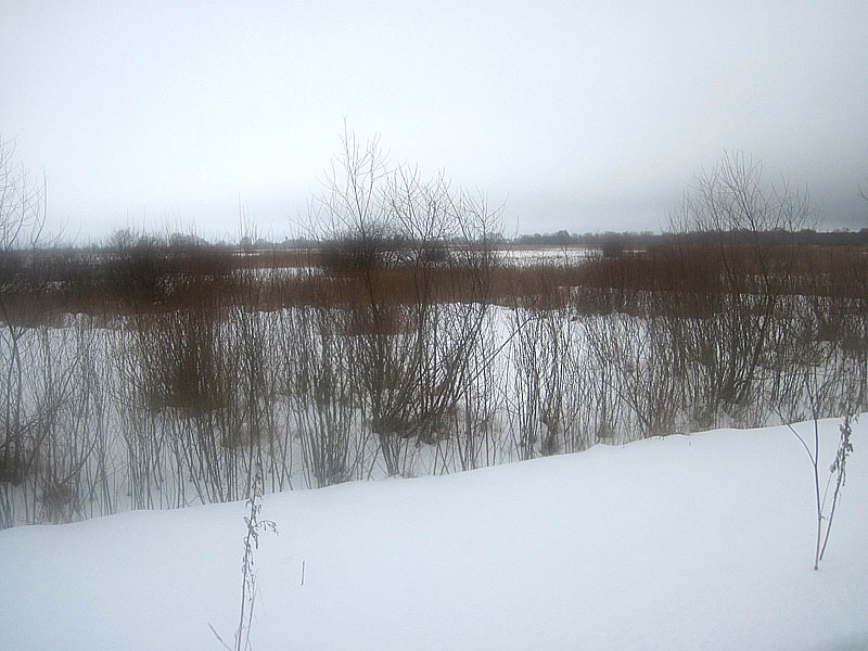 Остров Молодов