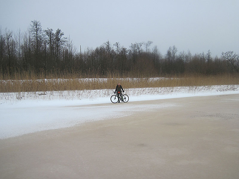 Дмитрий Пасека