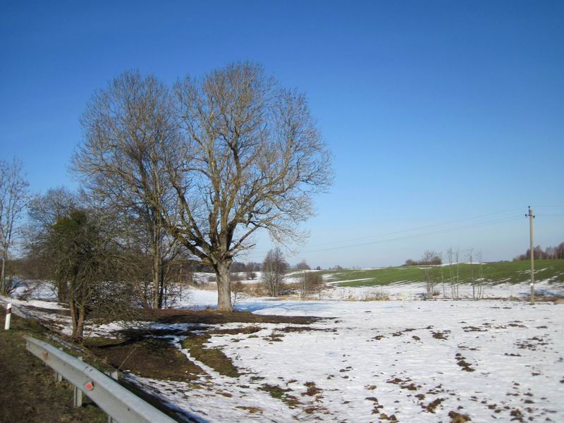 Весенний пейзаж