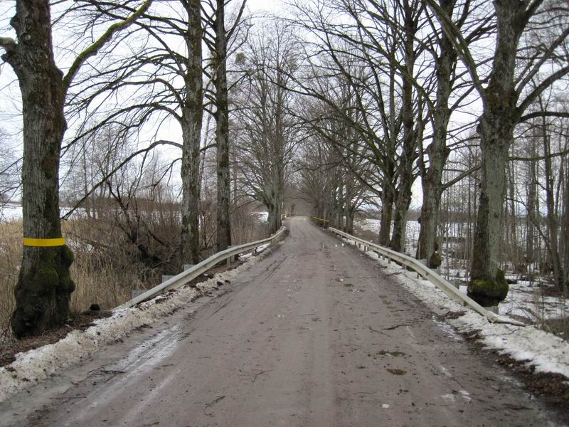 Едем по грунтовке