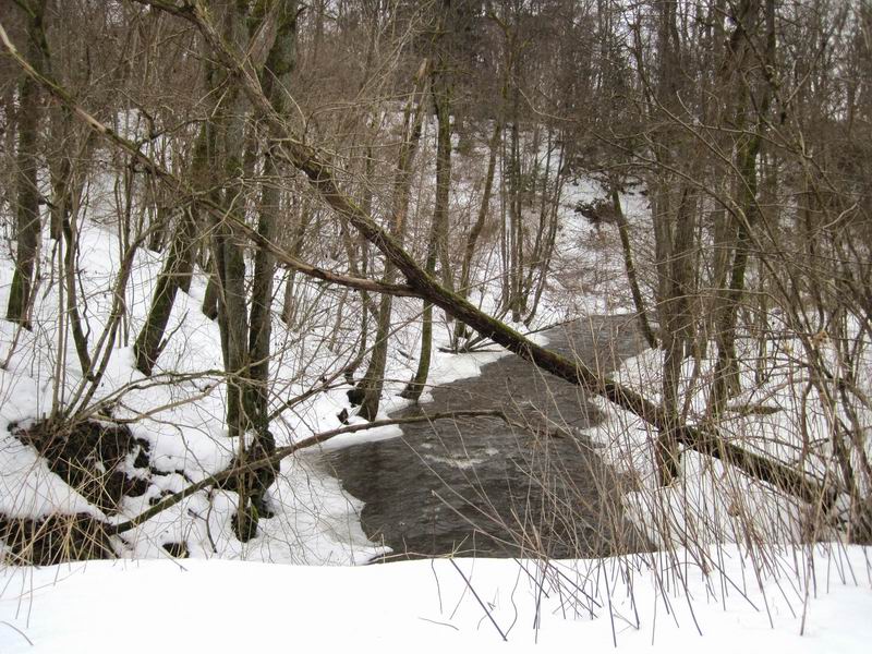 Река Витушка