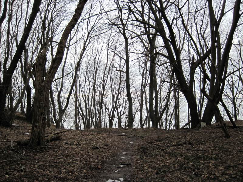 Спуск к заливу