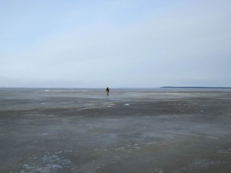 Дмитрий Пасека и плавающие в полынье лебеди