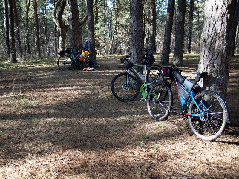 Наша поляна.