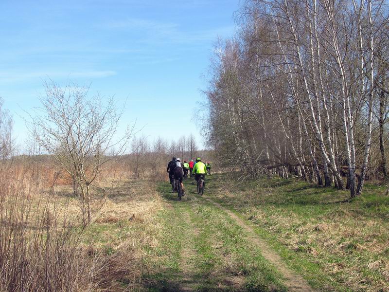 Едем по такой грунтовке...