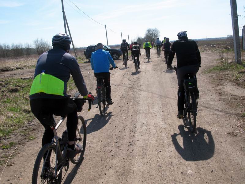 Едем к лесу Пальве.