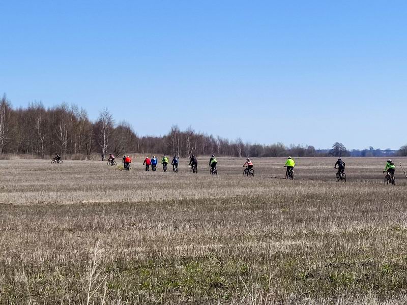 Едем к лесу.