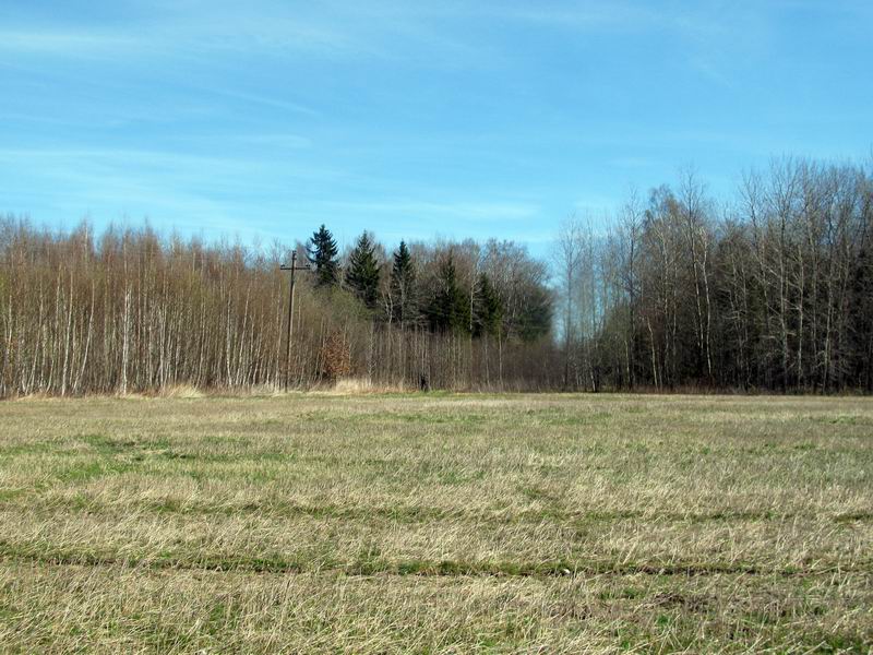 Александр Муравьёв уже там, проехал напрямую.