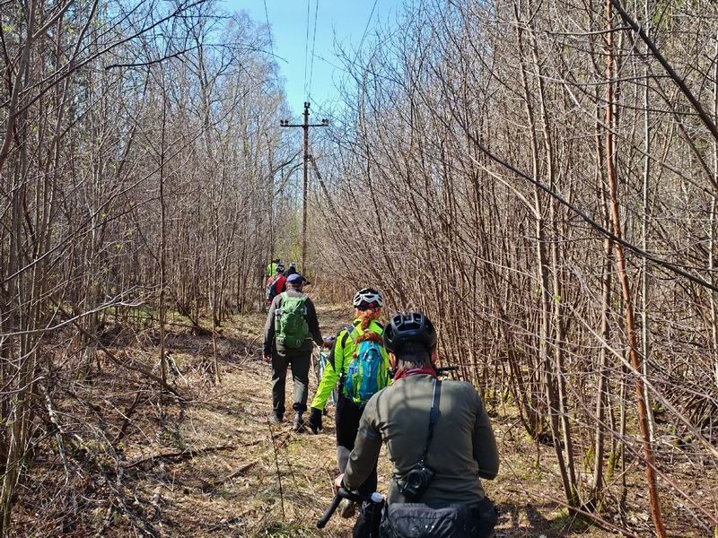 Продвигаемся по заросшей просеке, которая вскоре закончилась.