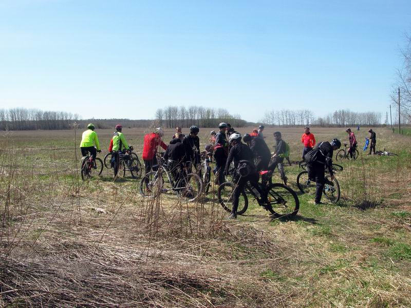 Вышли из леса, потеряли Илону, ждём.