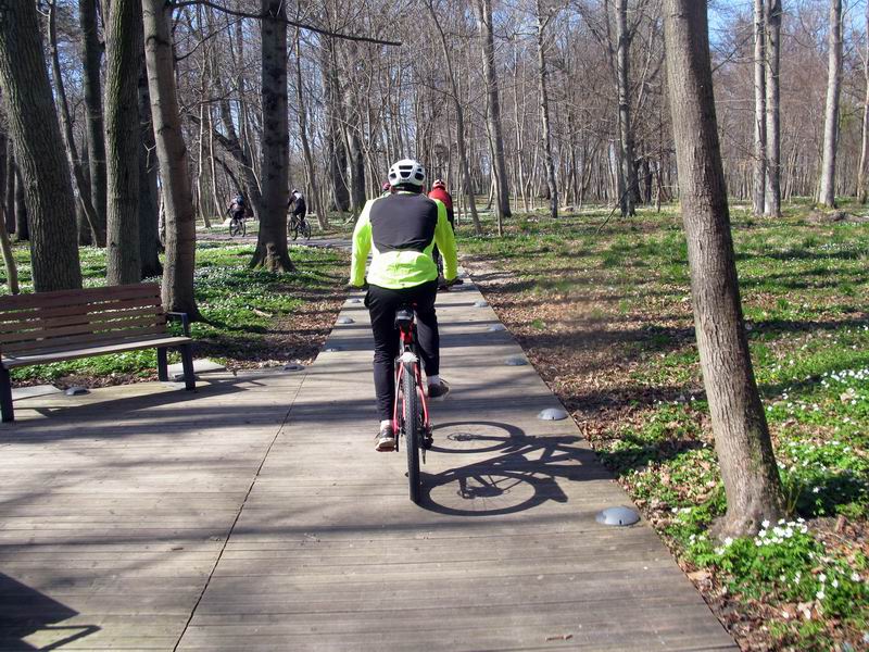 Проезжаем через парк Сосновка.