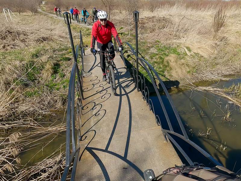 Мостик через р.Алейку в Рощино.