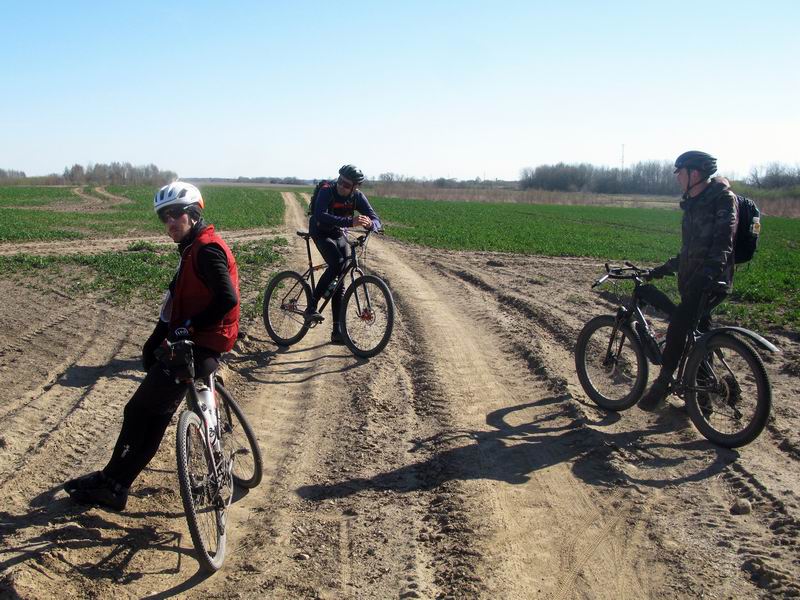 Три богатыря.