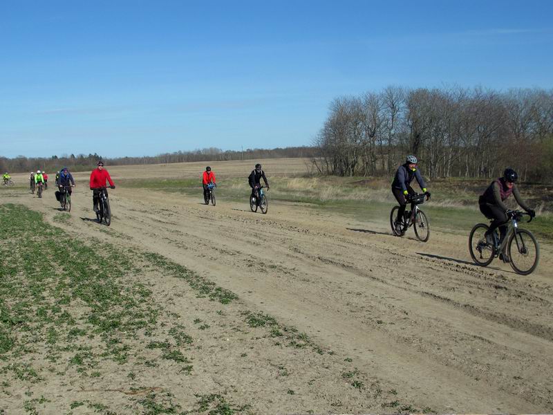 В прошлом году на этом поле был рапс.
