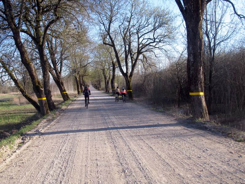 Опять раздолье для участников на гревелах.