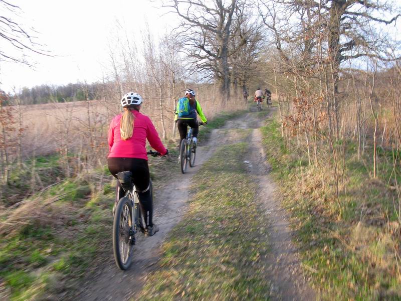 Дубовая аллея к Автокластеру.