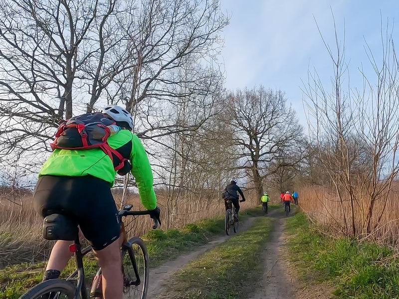 Дубовая аллея к Автокластеру.