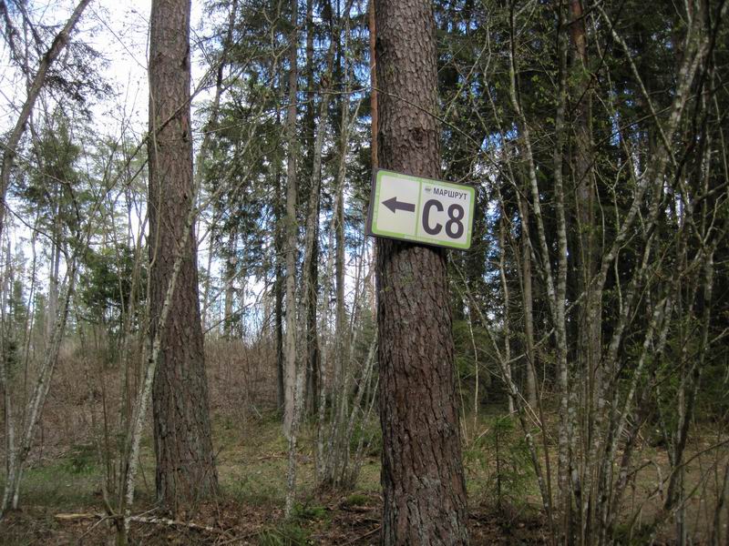 Еду по пешеходному маршруту С8