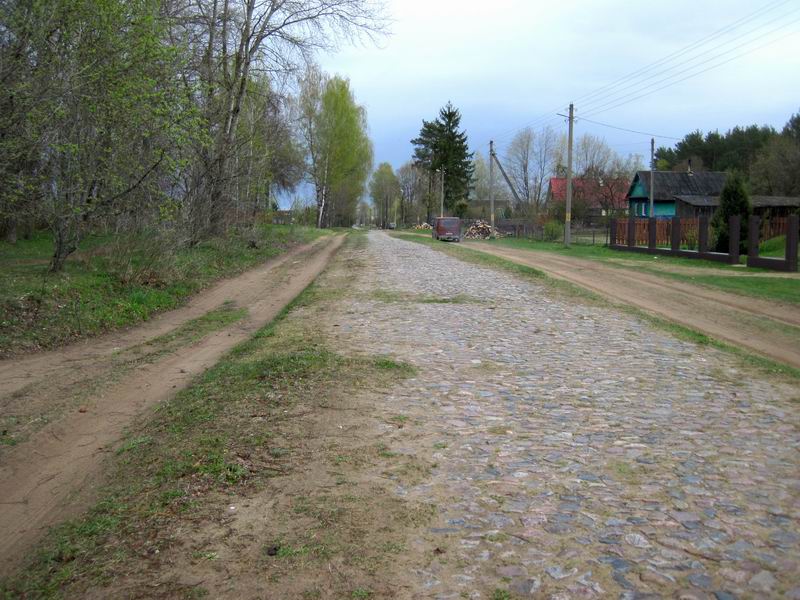 Брусчатка на ул. Пушкина в Дисне