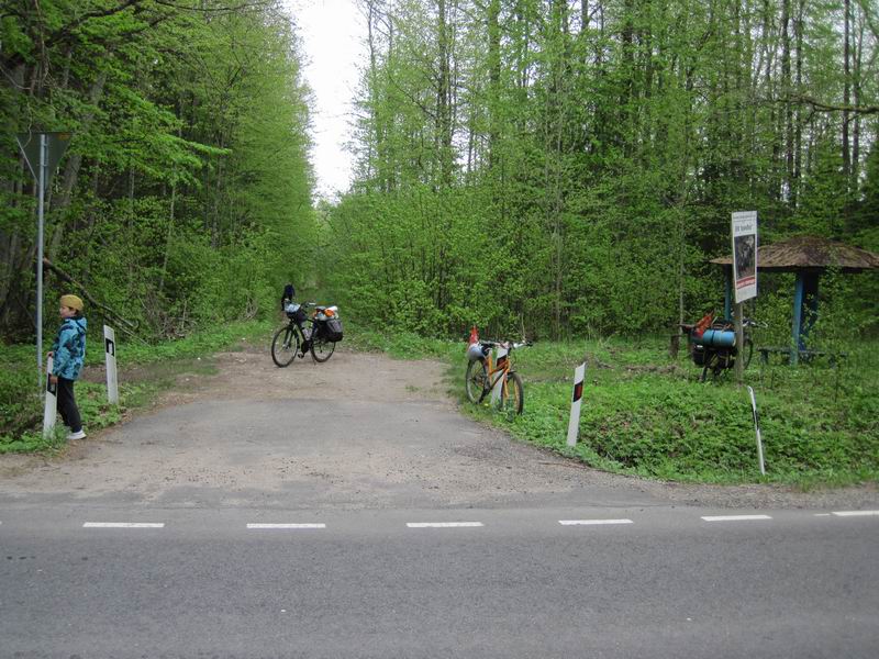 Санитарная остановка в лесу