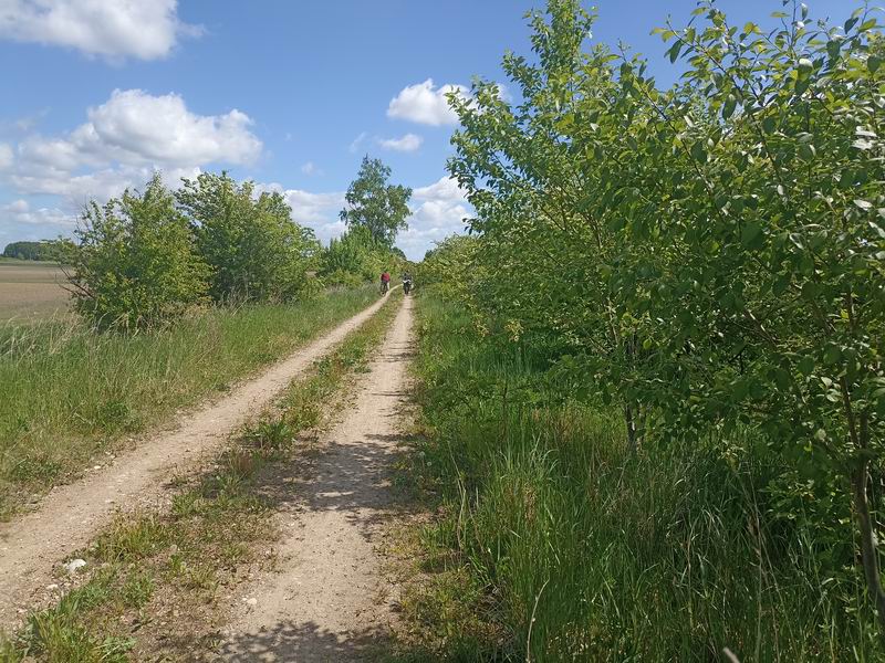 Красивая дорога на Володаровку